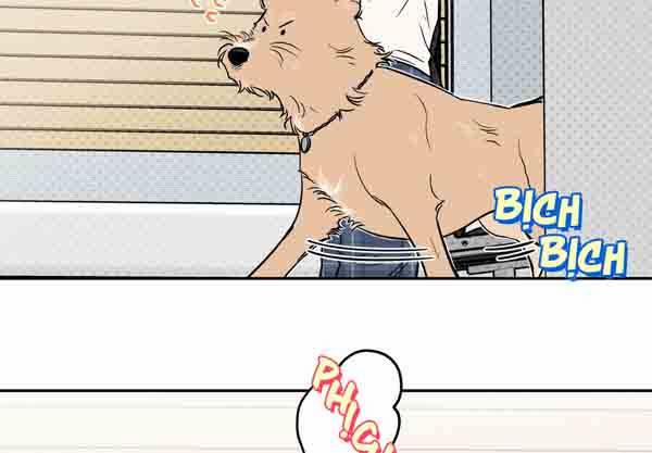 Gâu Gâu! 49 trang 54