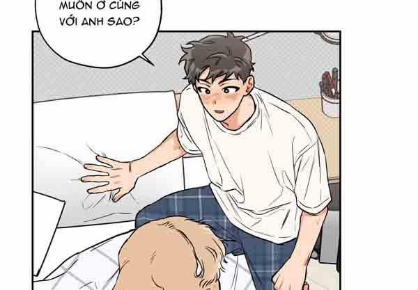 Gâu Gâu! 49 trang 59