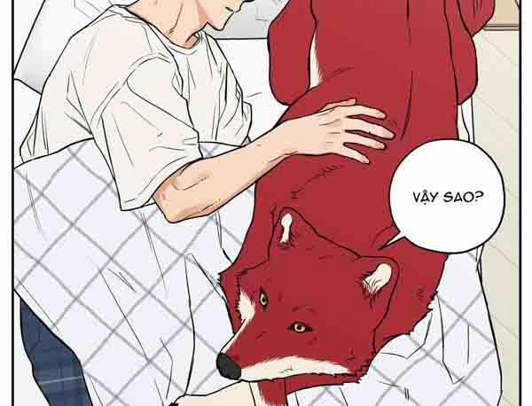 Gâu Gâu! 49 trang 68