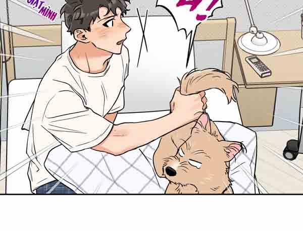 Gâu Gâu! 49 trang 77