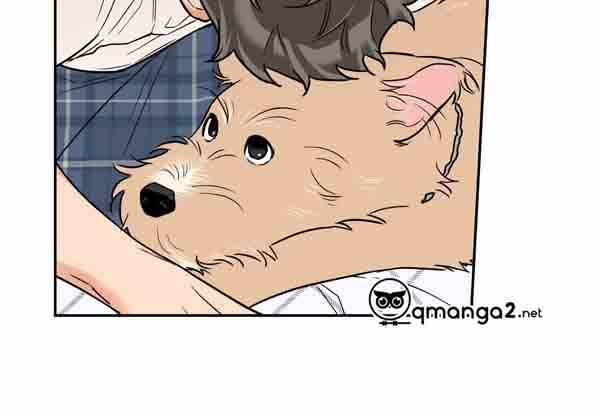 Gâu Gâu! 49 trang 84