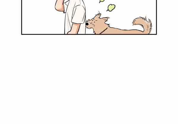 Gâu Gâu! 49 trang 96