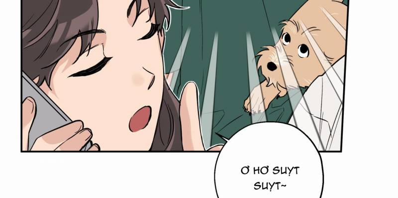 Gâu Gâu! 50 trang 24