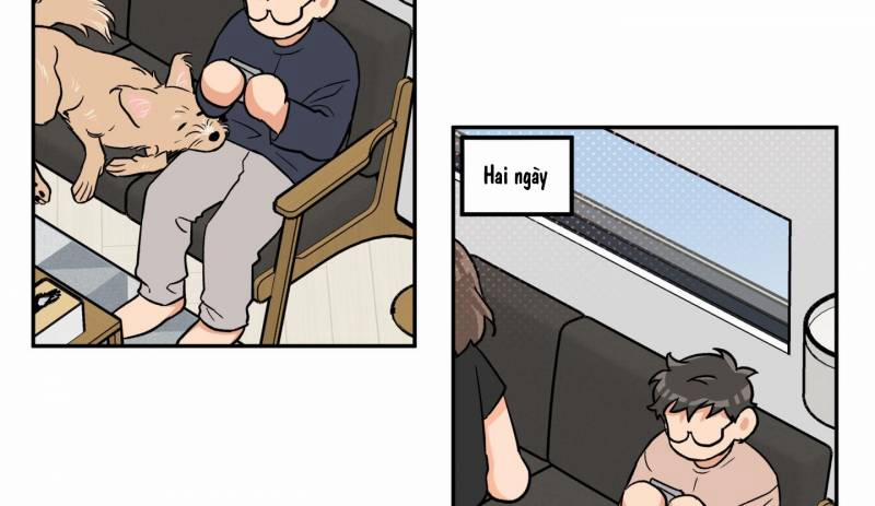 Gâu Gâu! 50 trang 56