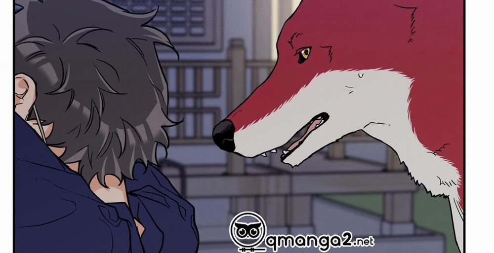 Gâu Gâu! 51 trang 106