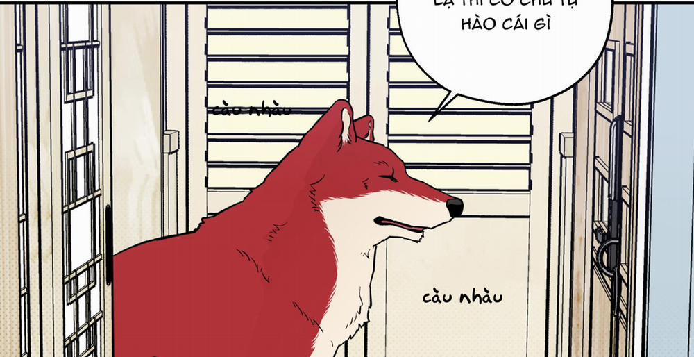 Gâu Gâu! 51 trang 19