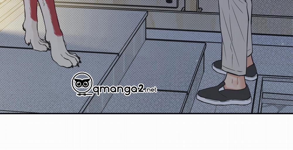 Gâu Gâu! 51 trang 32