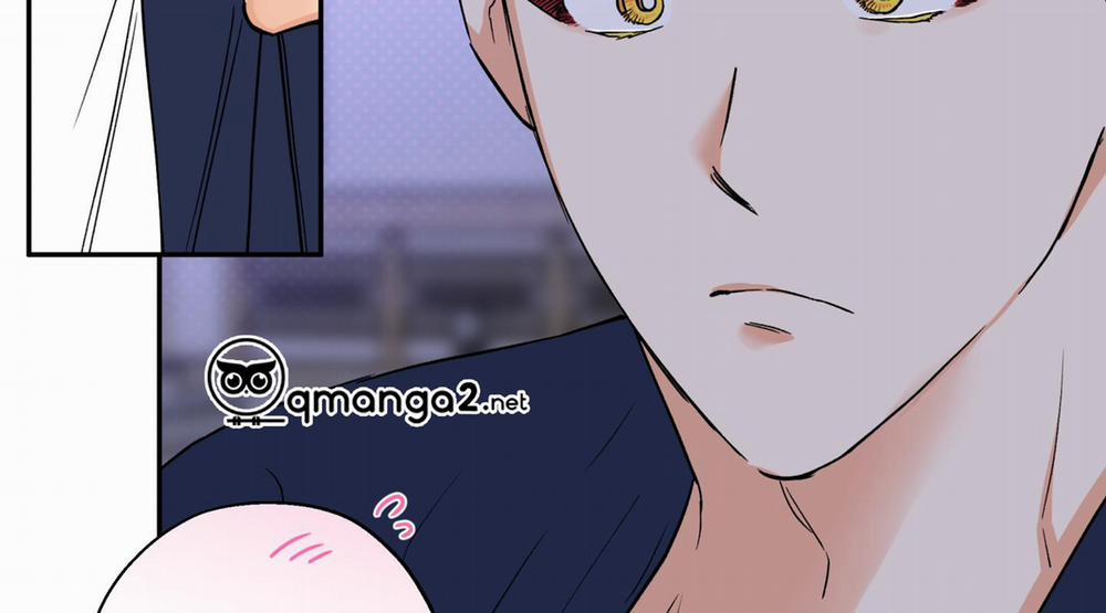 Gâu Gâu! 52 trang 75