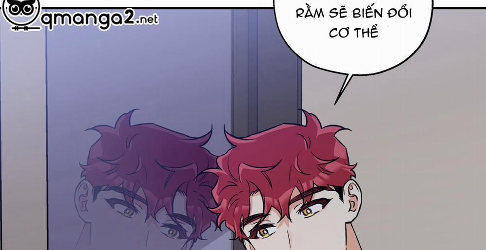 Gâu Gâu! 53 trang 127