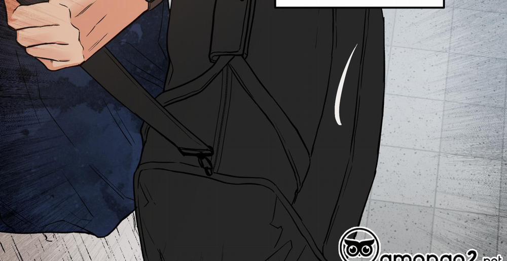 Gâu Gâu! 53 trang 41