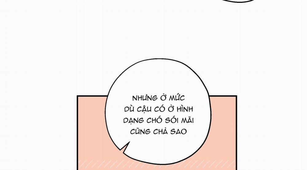 Gâu Gâu! 55 trang 116