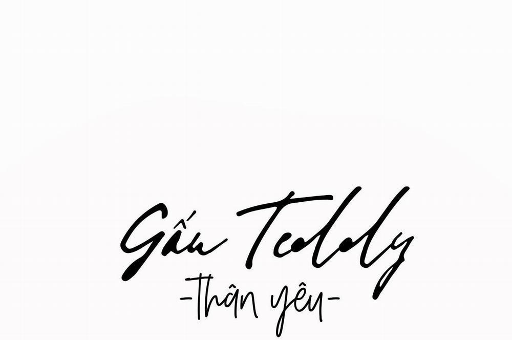 Gấu Teddy Thân Yêu 2 trang 19