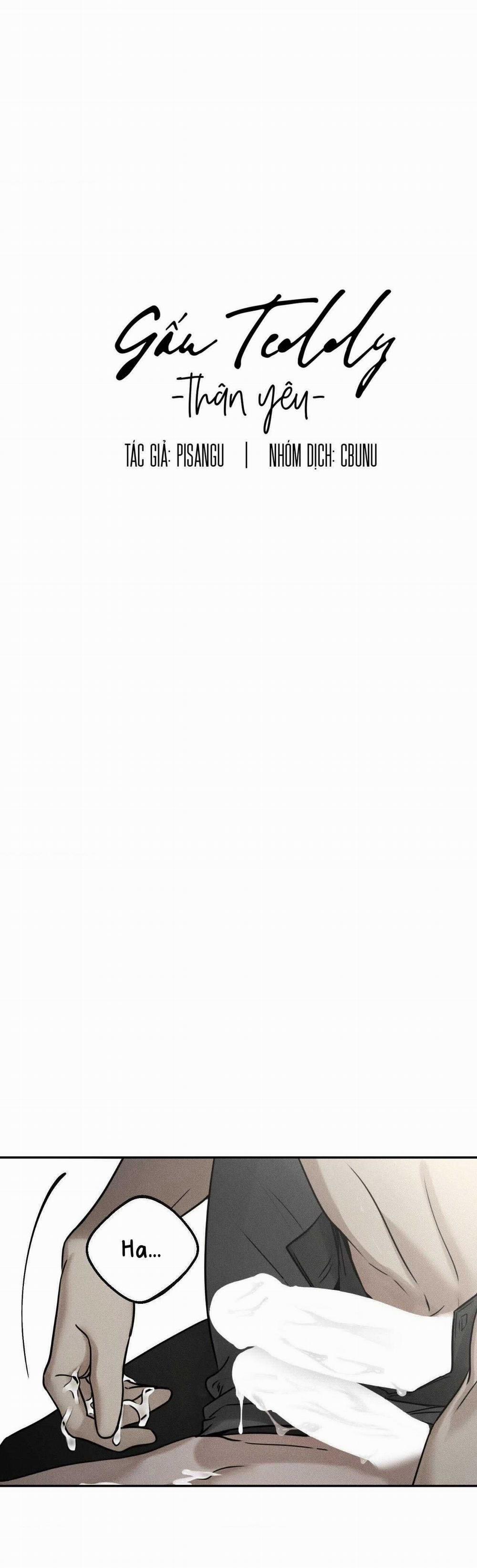 Gấu Teddy Thân Yêu 23 trang 16