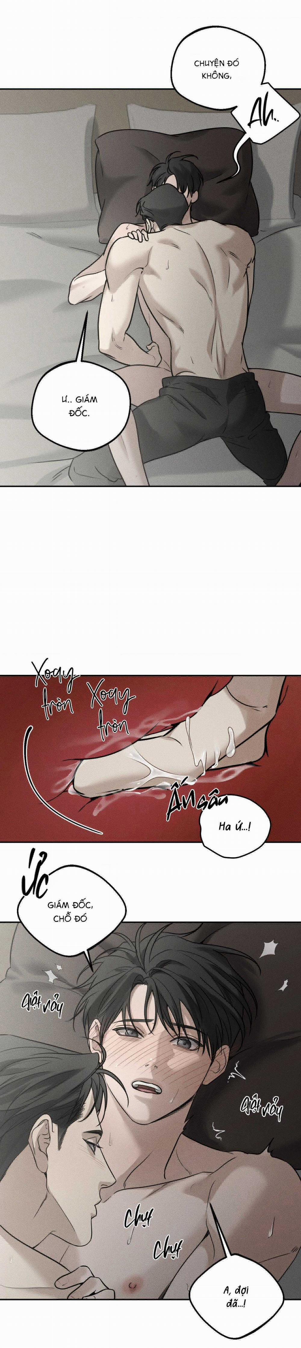 Gấu Teddy Thân Yêu 23 trang 20