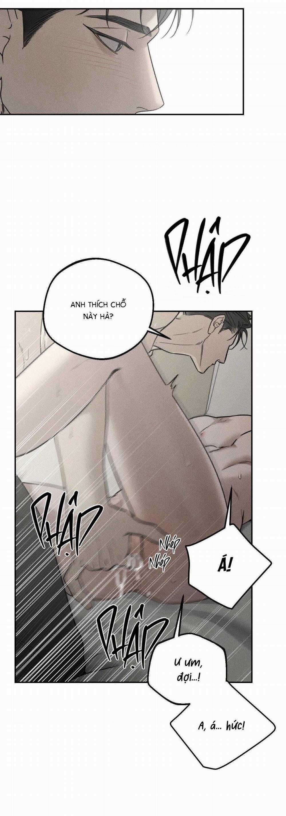 Gấu Teddy Thân Yêu 23 trang 21