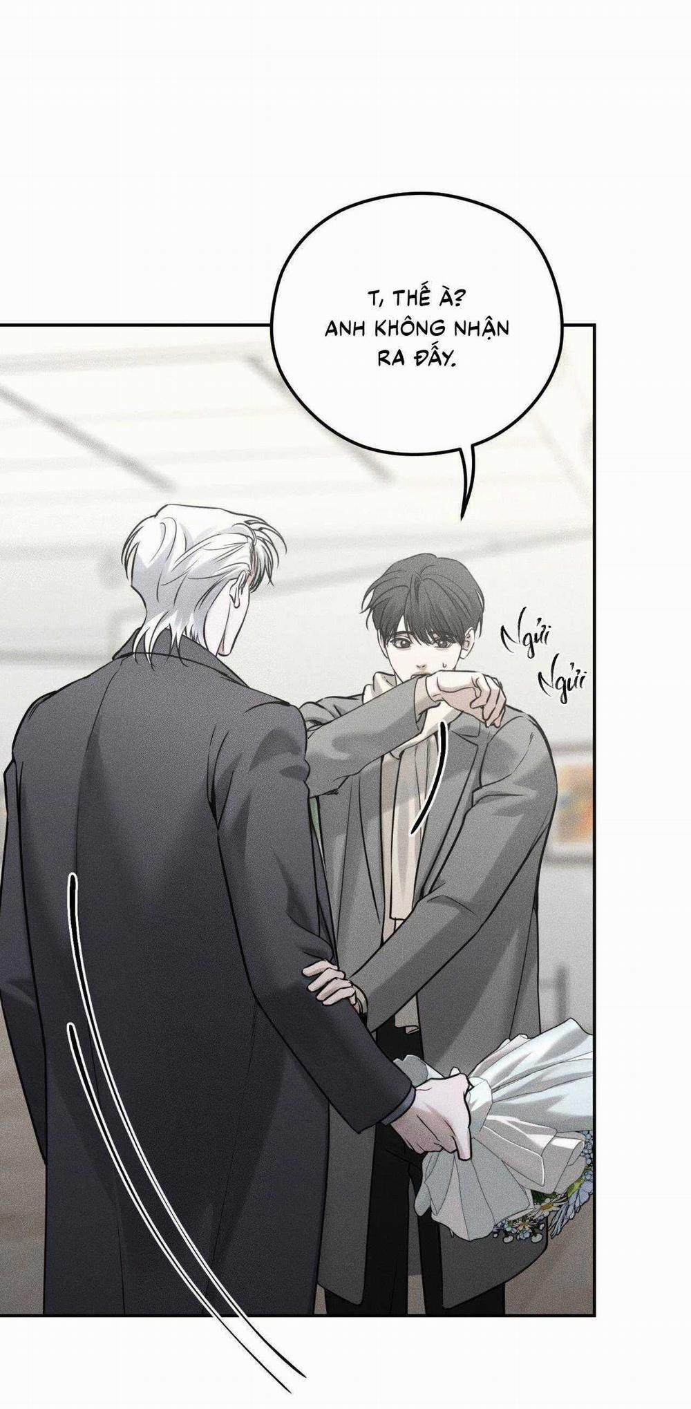 Gấu Teddy Thân Yêu 24 trang 11