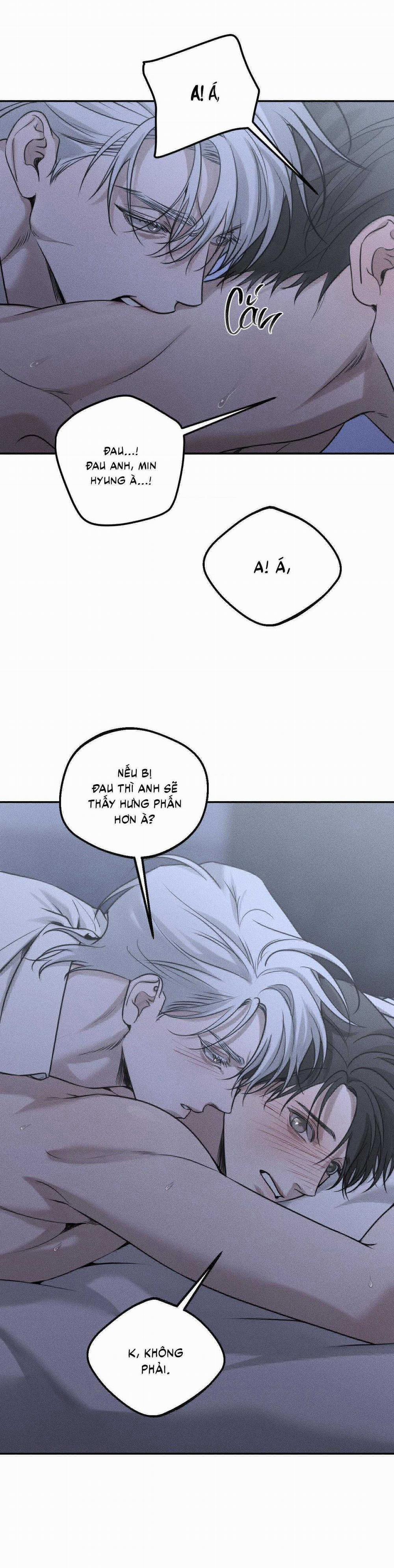 Gấu Teddy Thân Yêu 25 trang 10