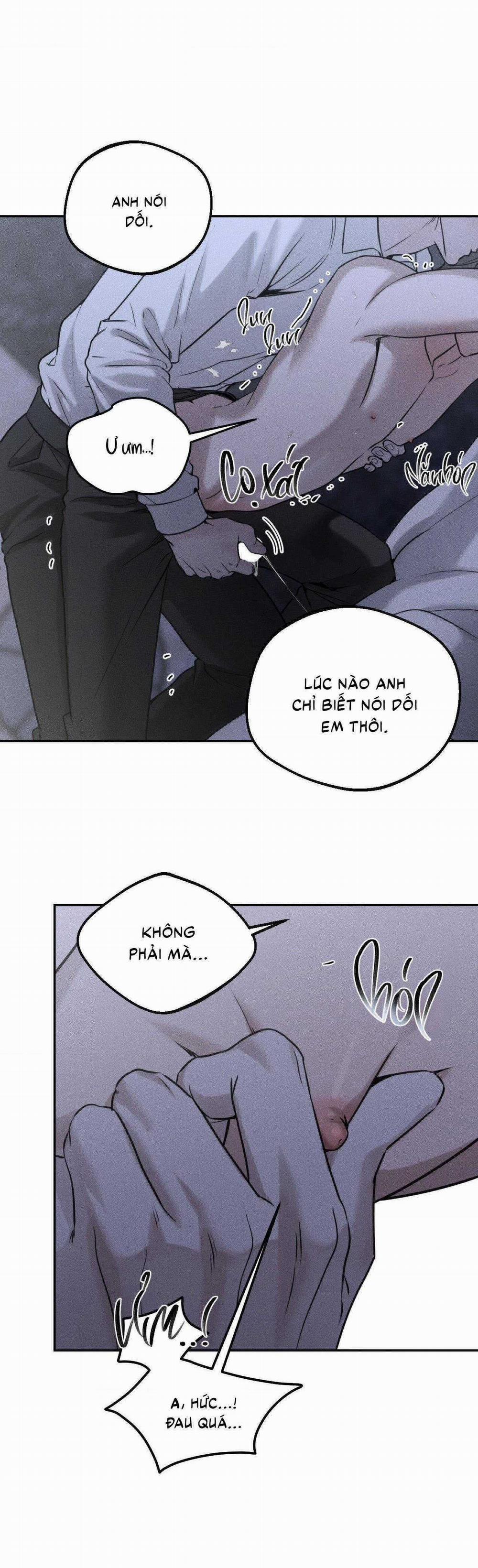 Gấu Teddy Thân Yêu 25 trang 11