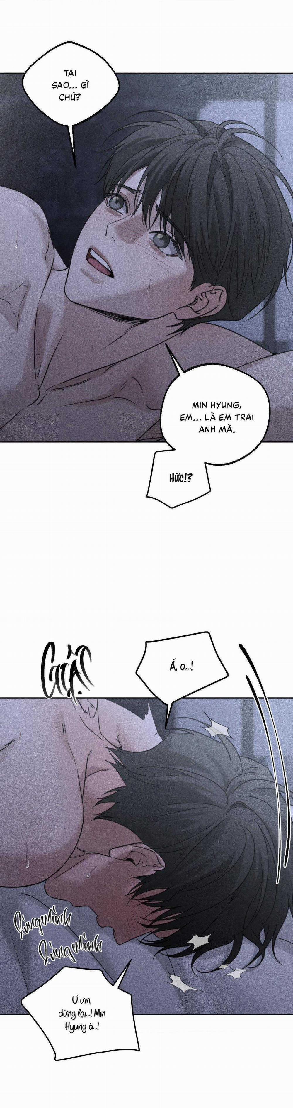 Gấu Teddy Thân Yêu 25 trang 14