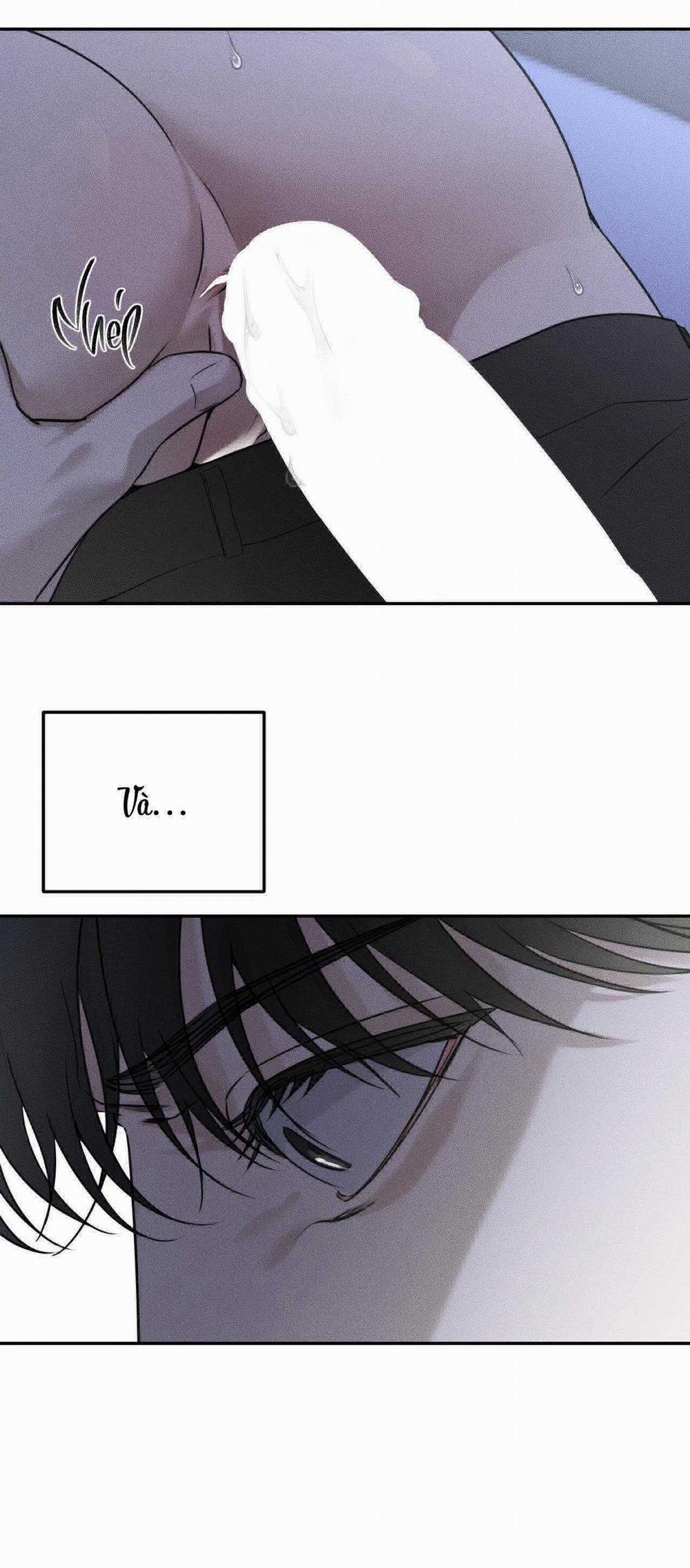 Gấu Teddy Thân Yêu 25 trang 21