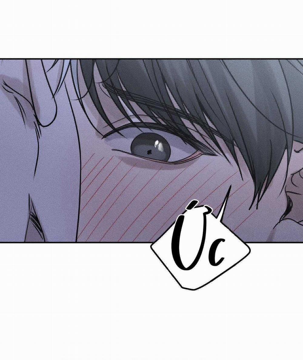 Gấu Teddy Thân Yêu 26 trang 16