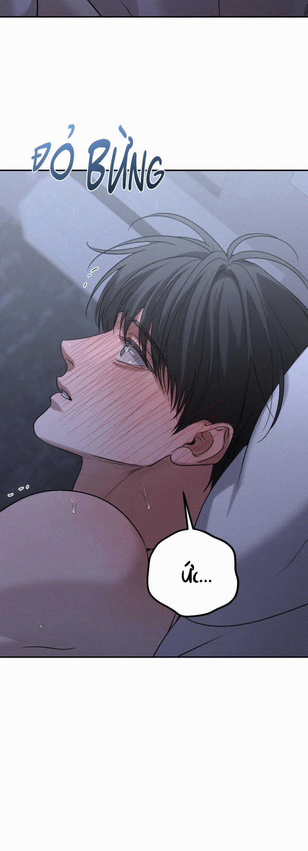 Gấu Teddy Thân Yêu 26 trang 25