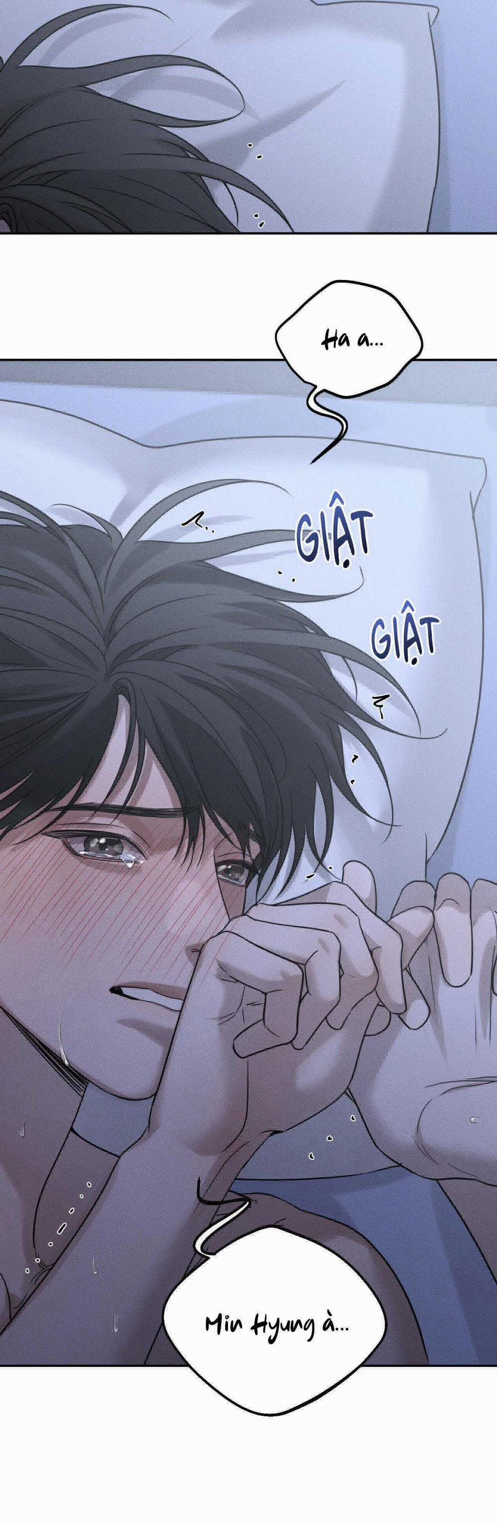 Gấu Teddy Thân Yêu 26 trang 47