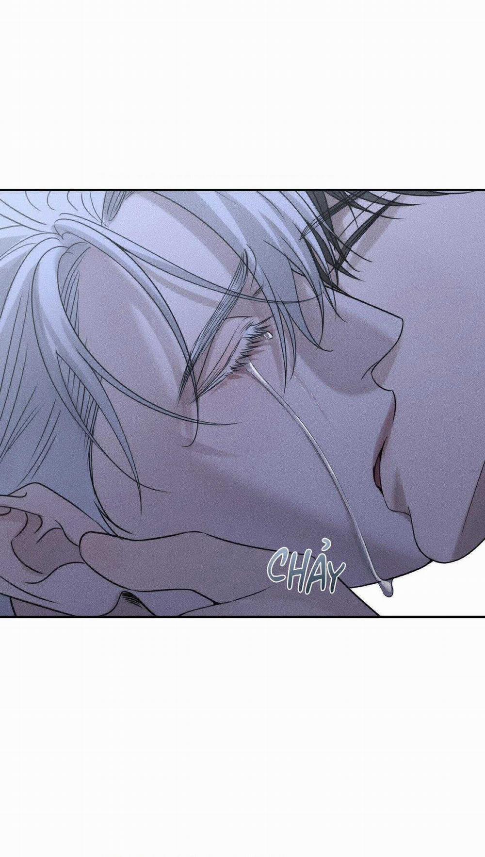 Gấu Teddy Thân Yêu 26 trang 7