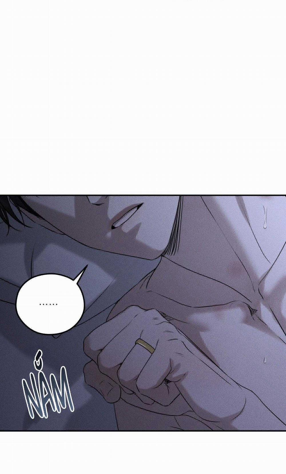 Gấu Teddy Thân Yêu 27 trang 10