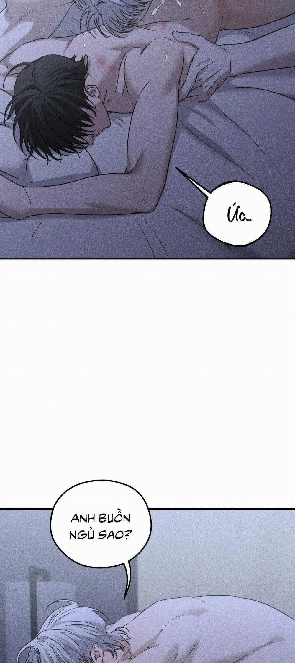 Gấu Teddy Thân Yêu 27 trang 2