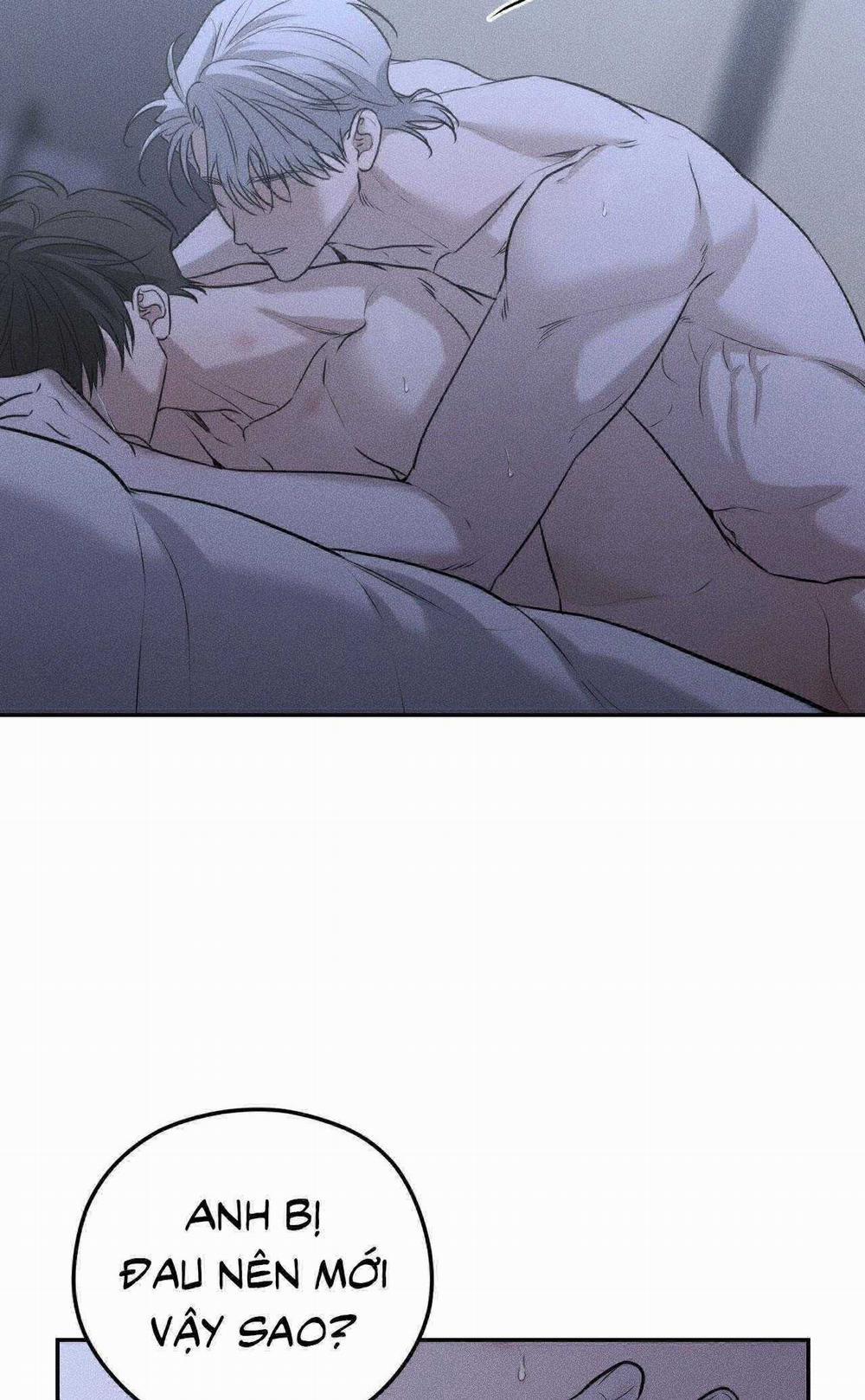 Gấu Teddy Thân Yêu 27 trang 23