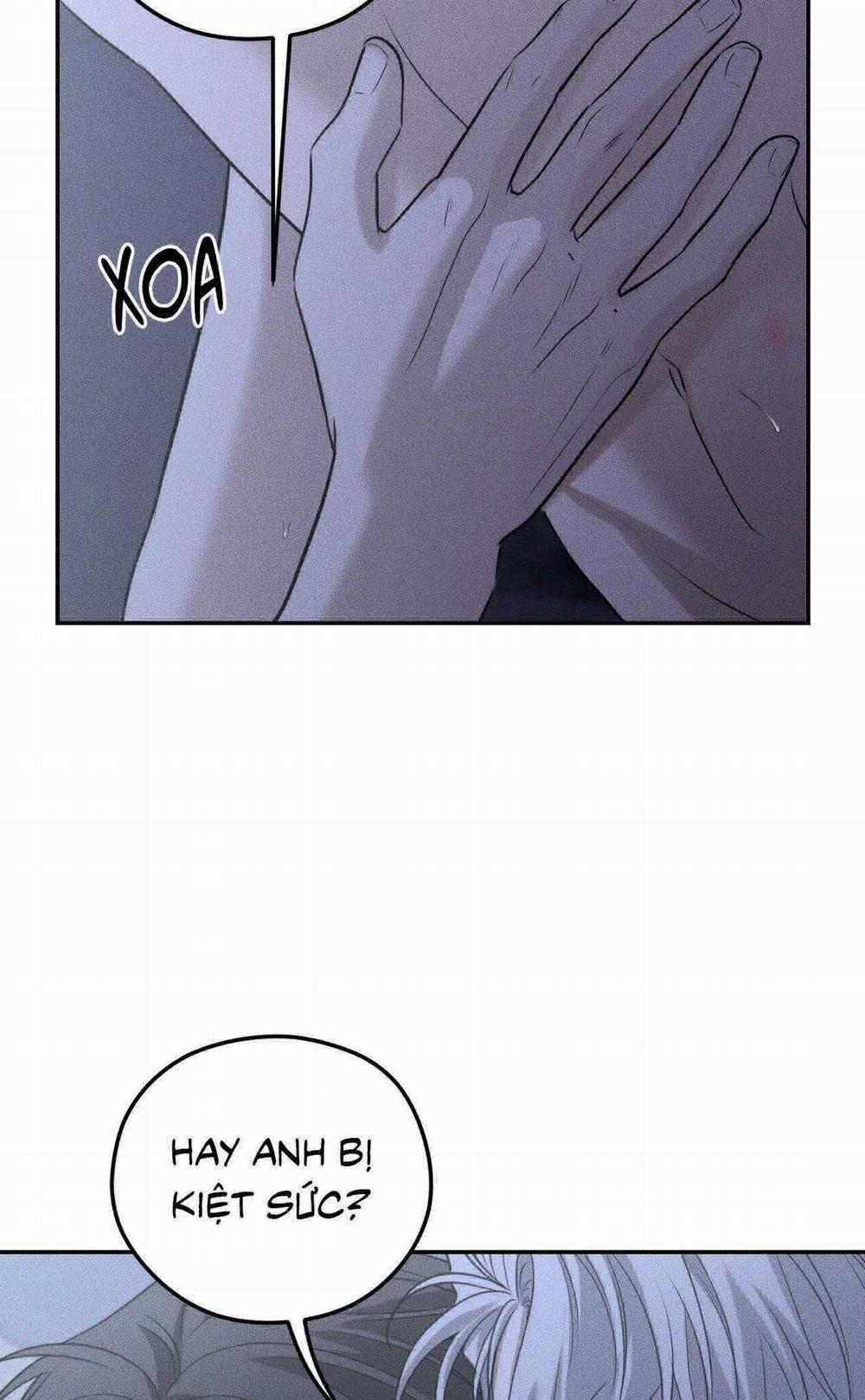 Gấu Teddy Thân Yêu 27 trang 24