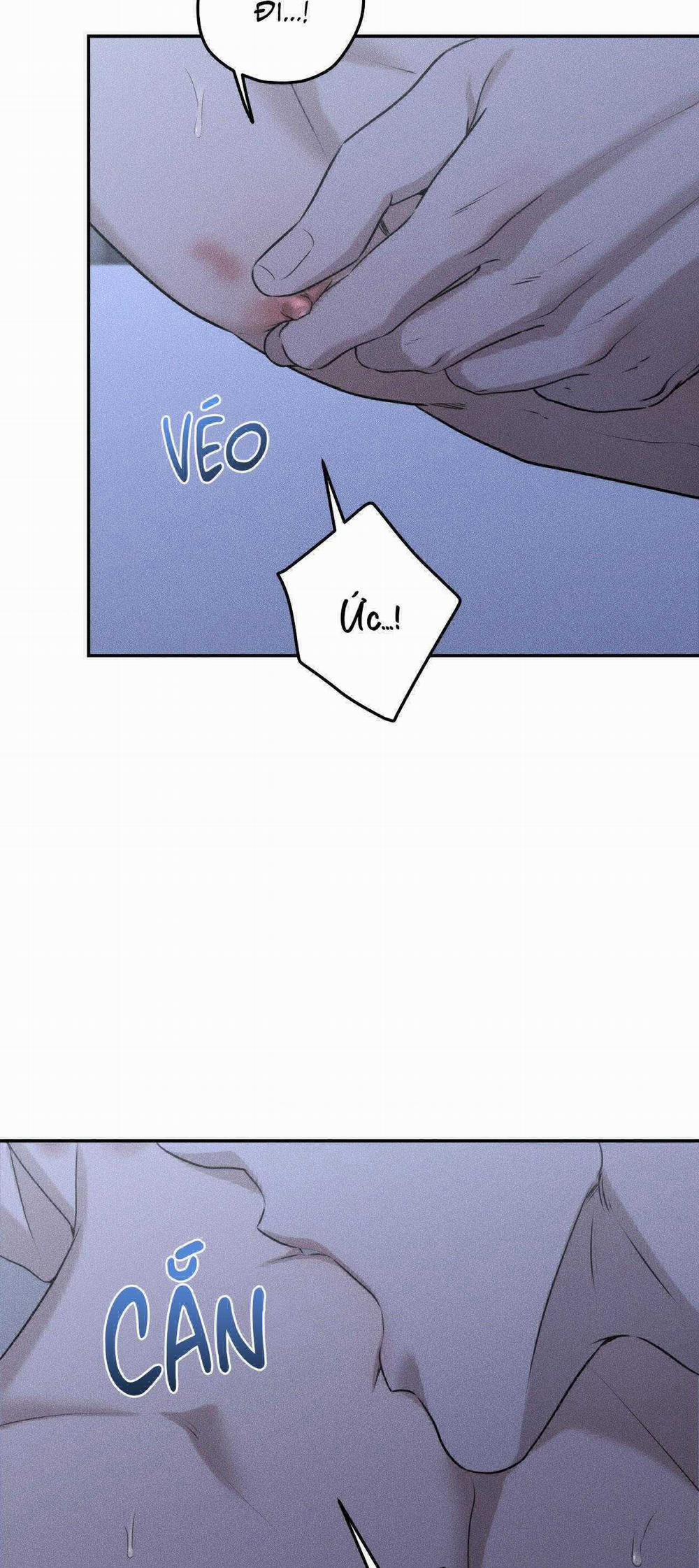 Gấu Teddy Thân Yêu 27 trang 4