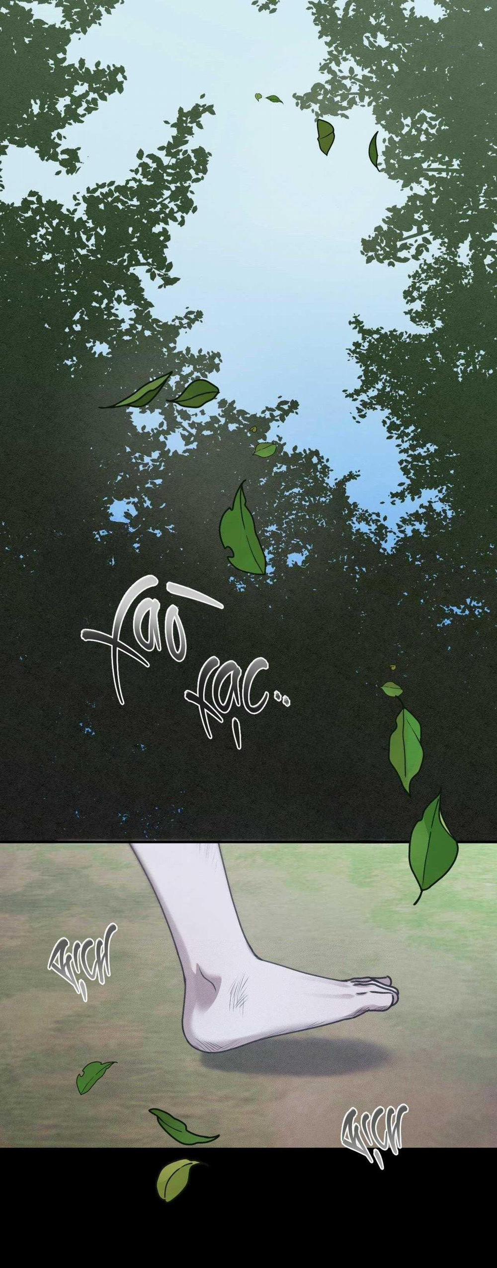 Gấu Teddy Thân Yêu 28 trang 1