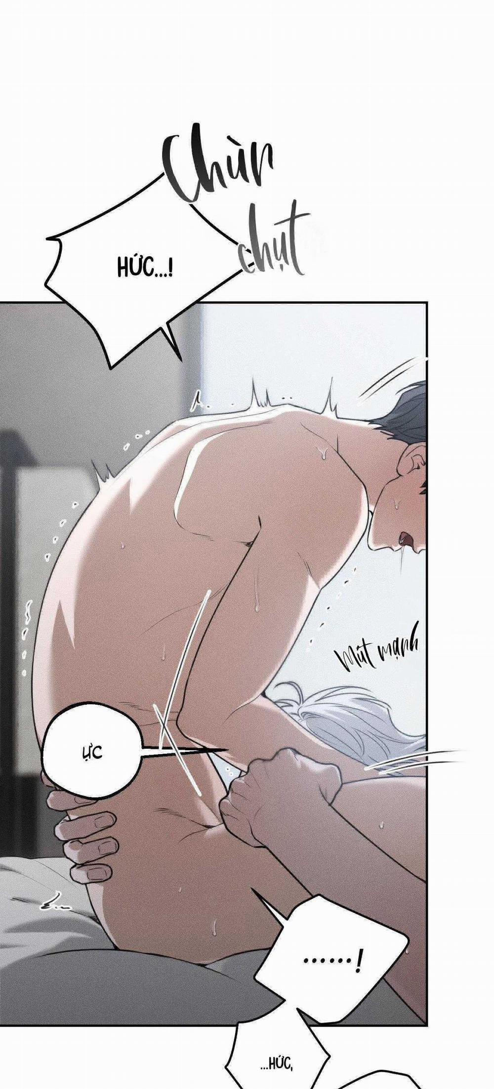 Gấu Teddy Thân Yêu 29 trang 12