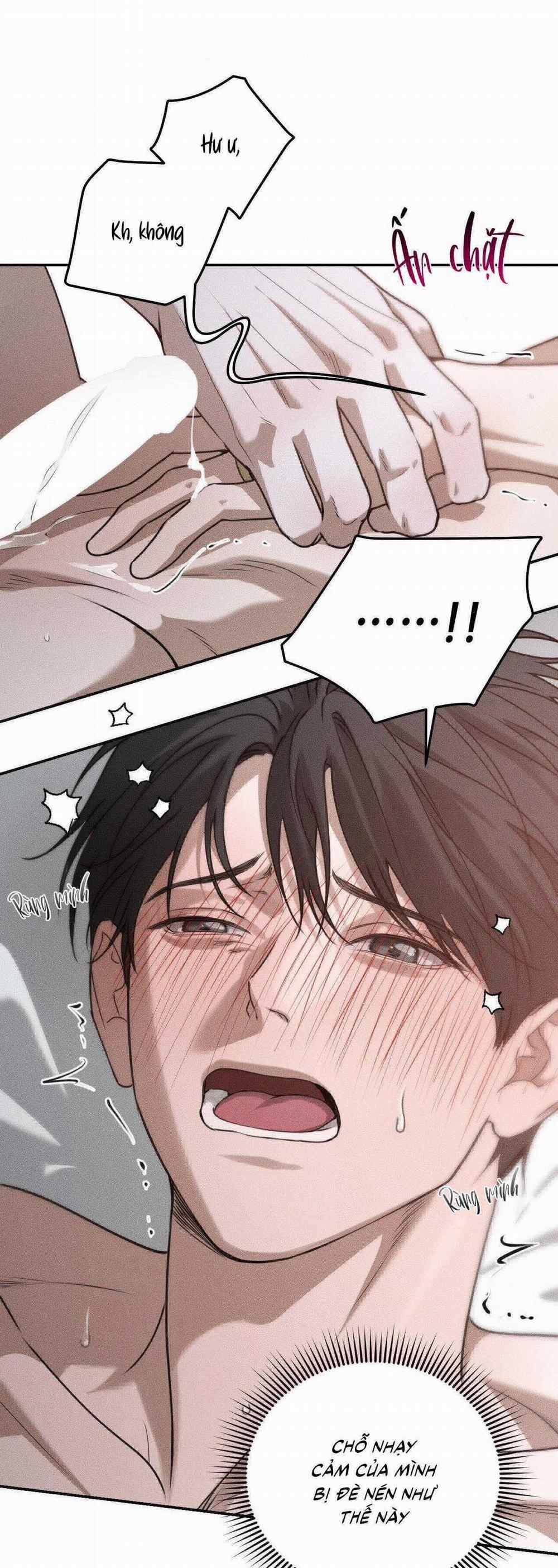 Gấu Teddy Thân Yêu 29 trang 33