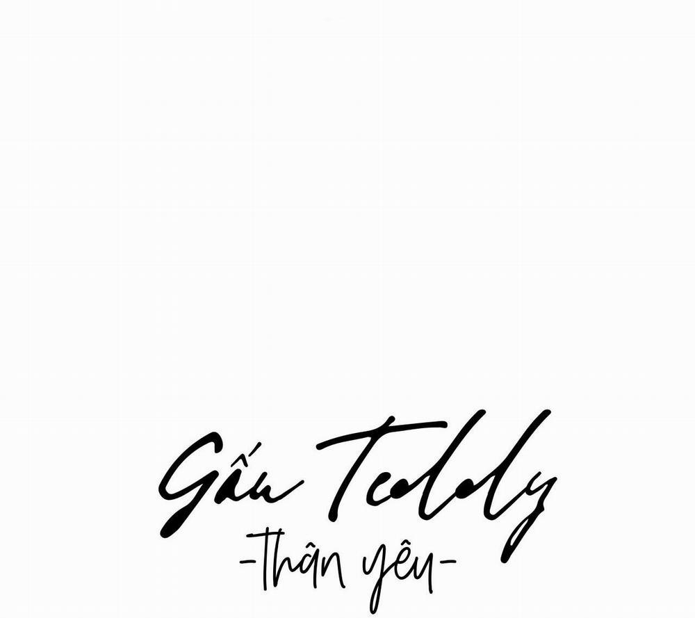 Gấu Teddy Thân Yêu 3 trang 20