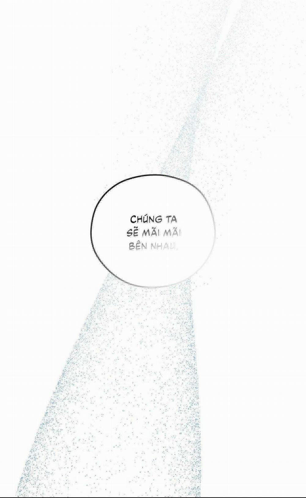 Gấu Teddy Thân Yêu 31 trang 11