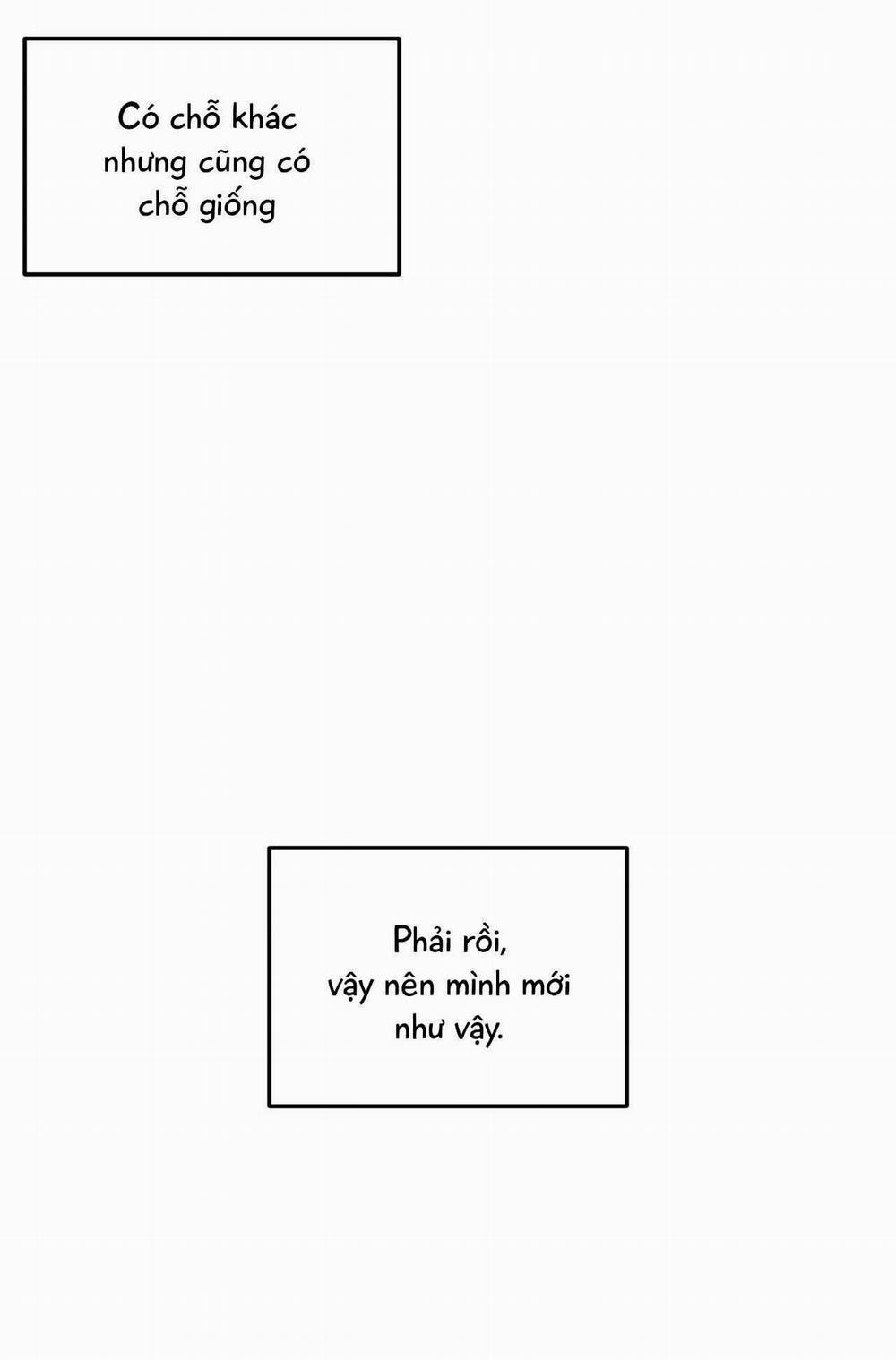 Gấu Teddy Thân Yêu 31 trang 13