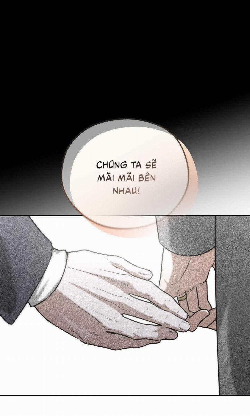 Gấu Teddy Thân Yêu 31 trang 8