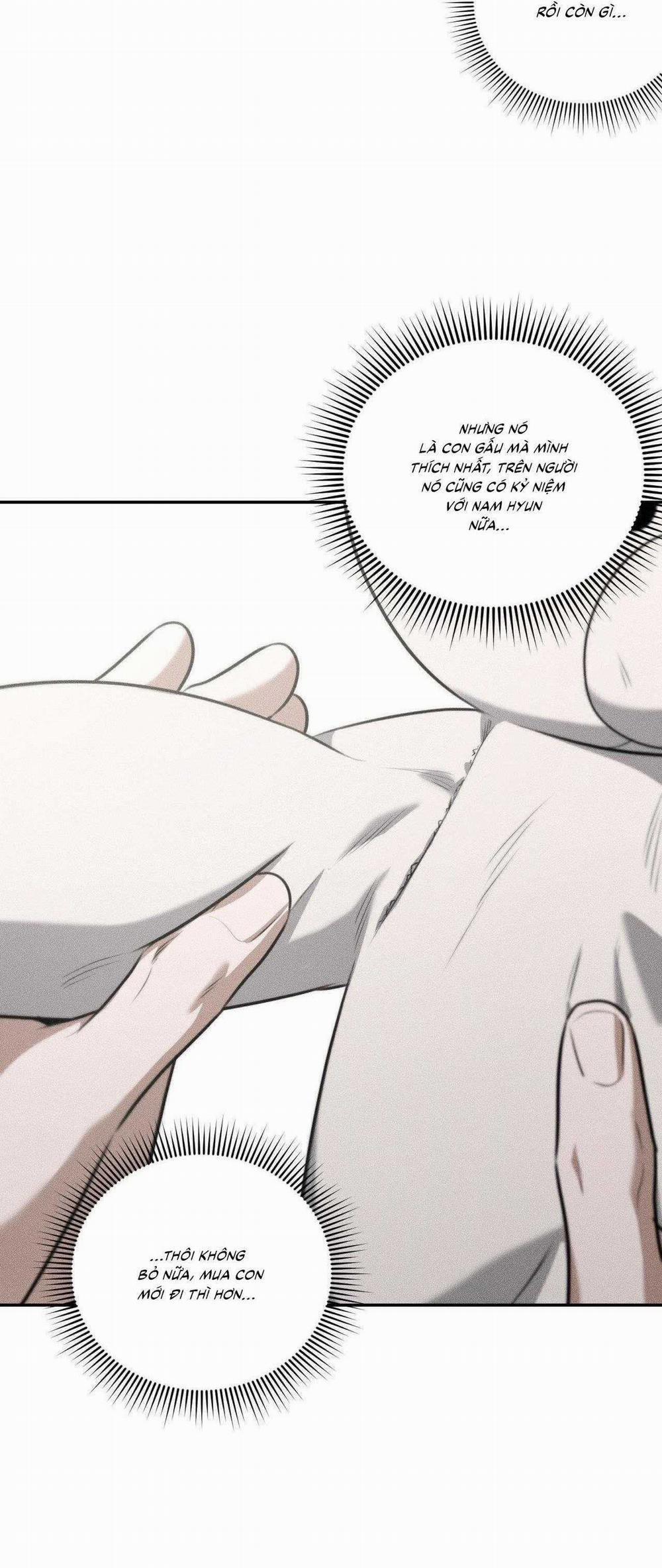 Gấu Teddy Thân Yêu 33 trang 14