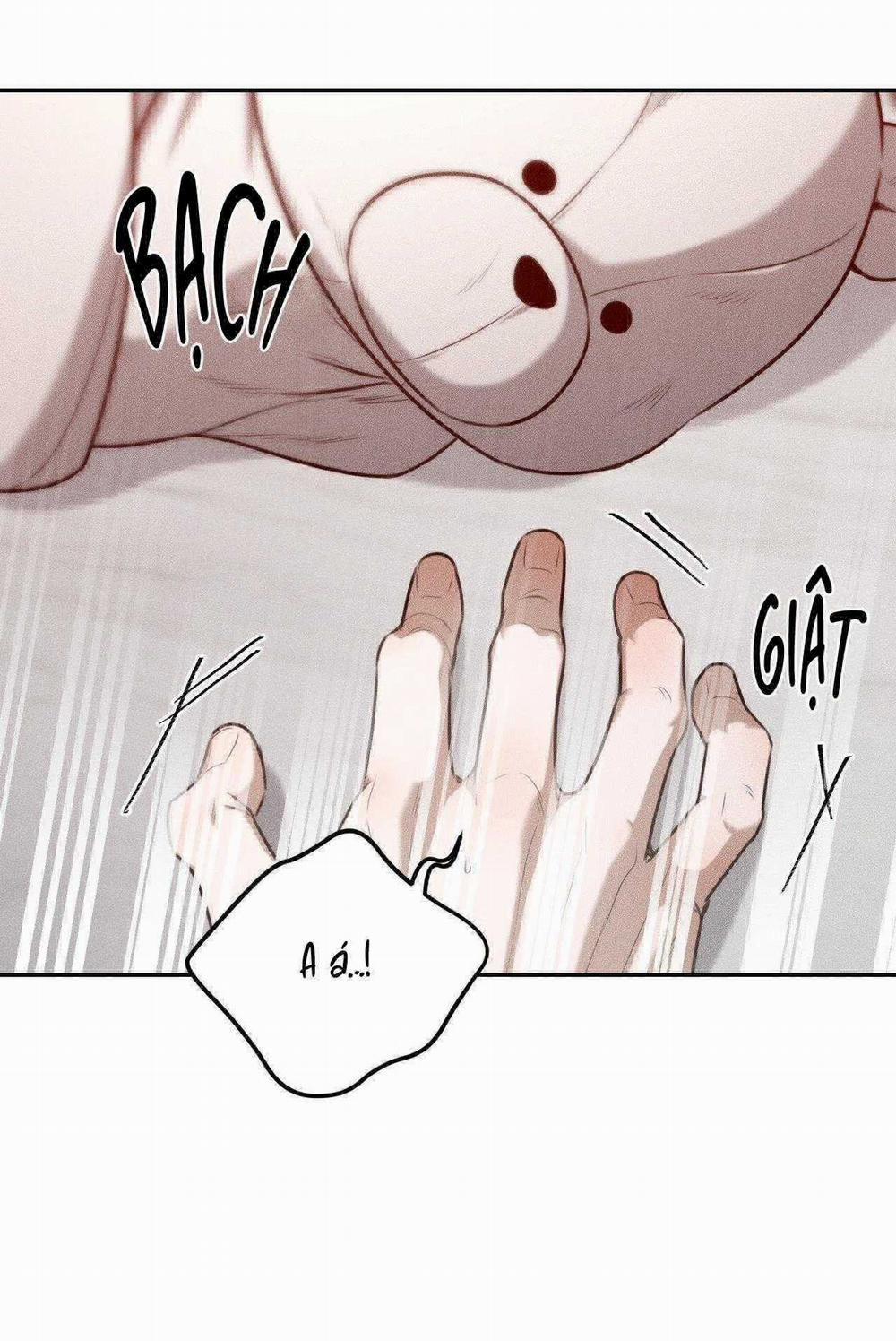 Gấu Teddy Thân Yêu 33 trang 32