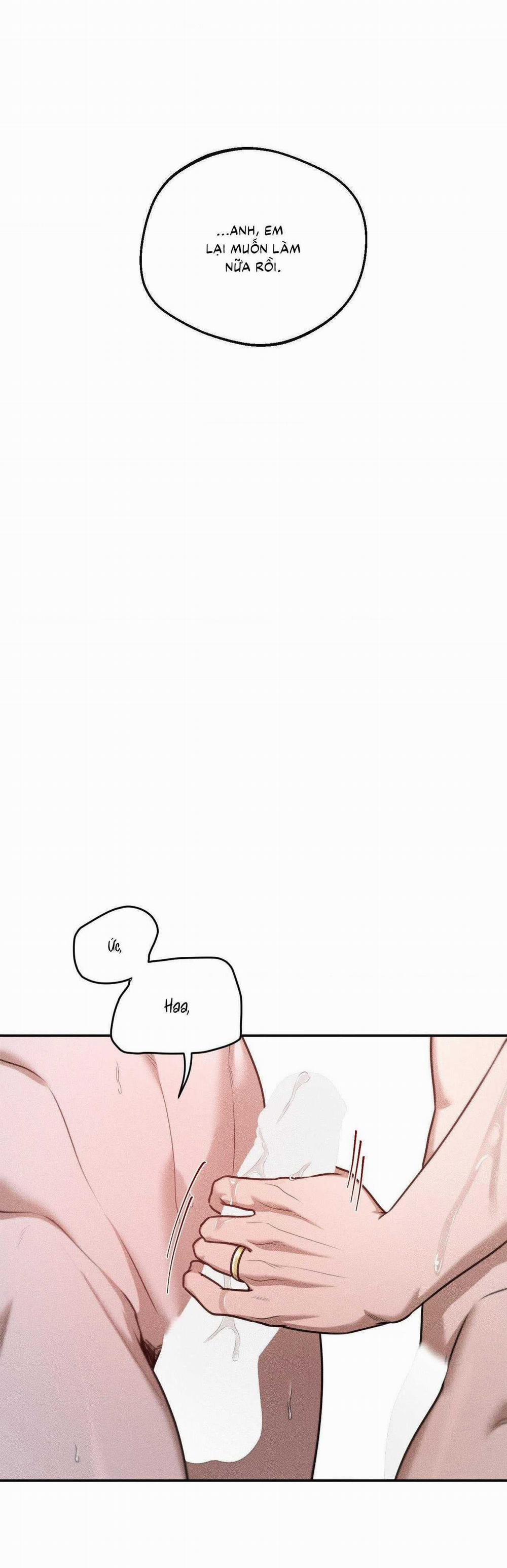 Gấu Teddy Thân Yêu 34 trang 11