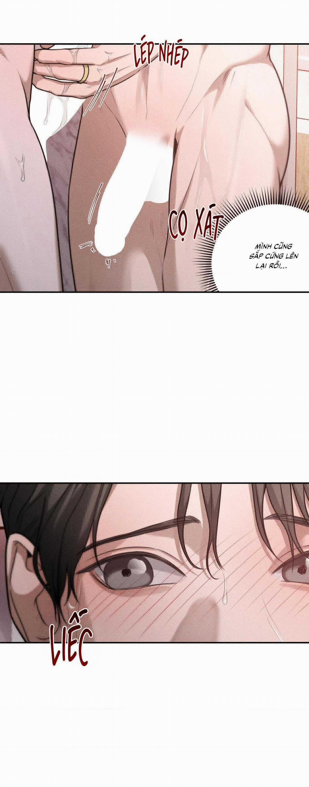 Gấu Teddy Thân Yêu 34 trang 14