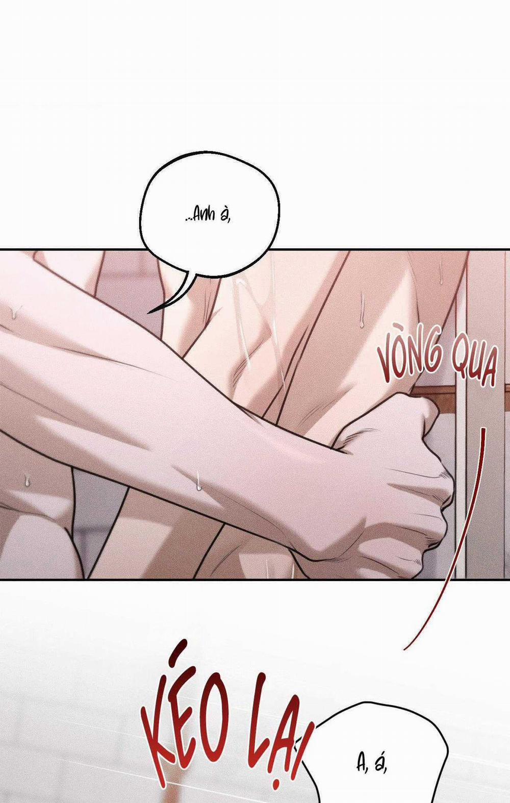 Gấu Teddy Thân Yêu 34 trang 17