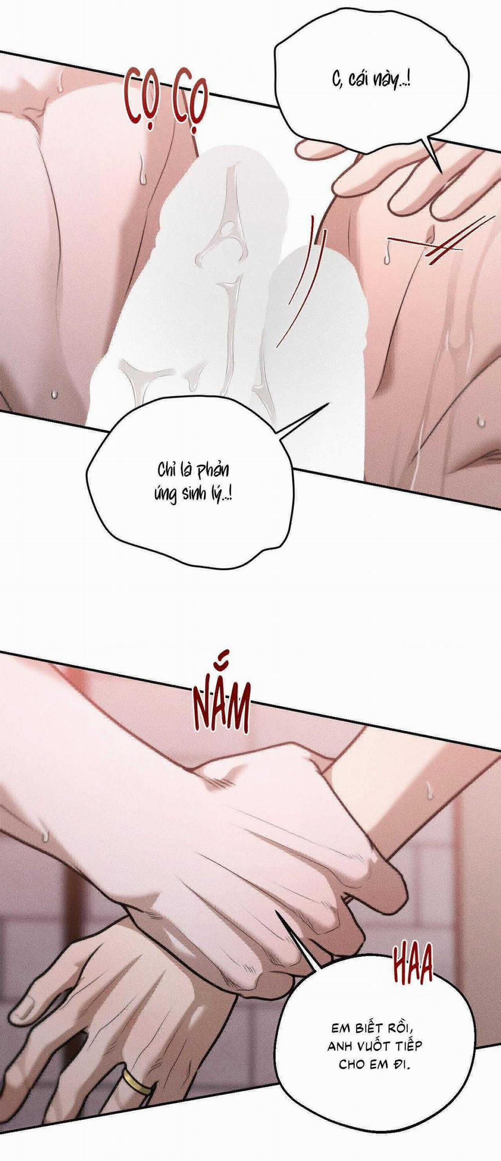 Gấu Teddy Thân Yêu 34 trang 19