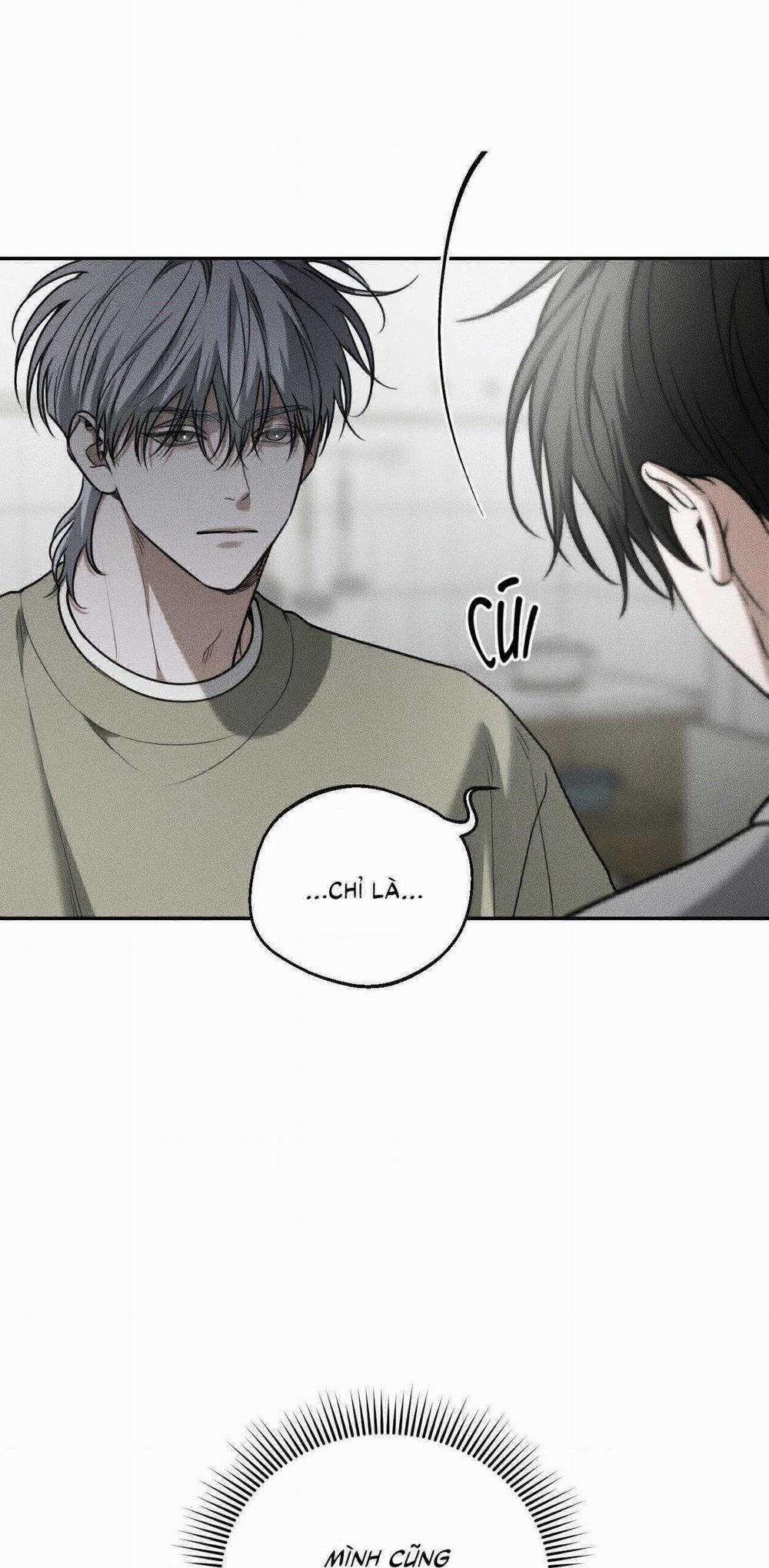 Gấu Teddy Thân Yêu 35 trang 5