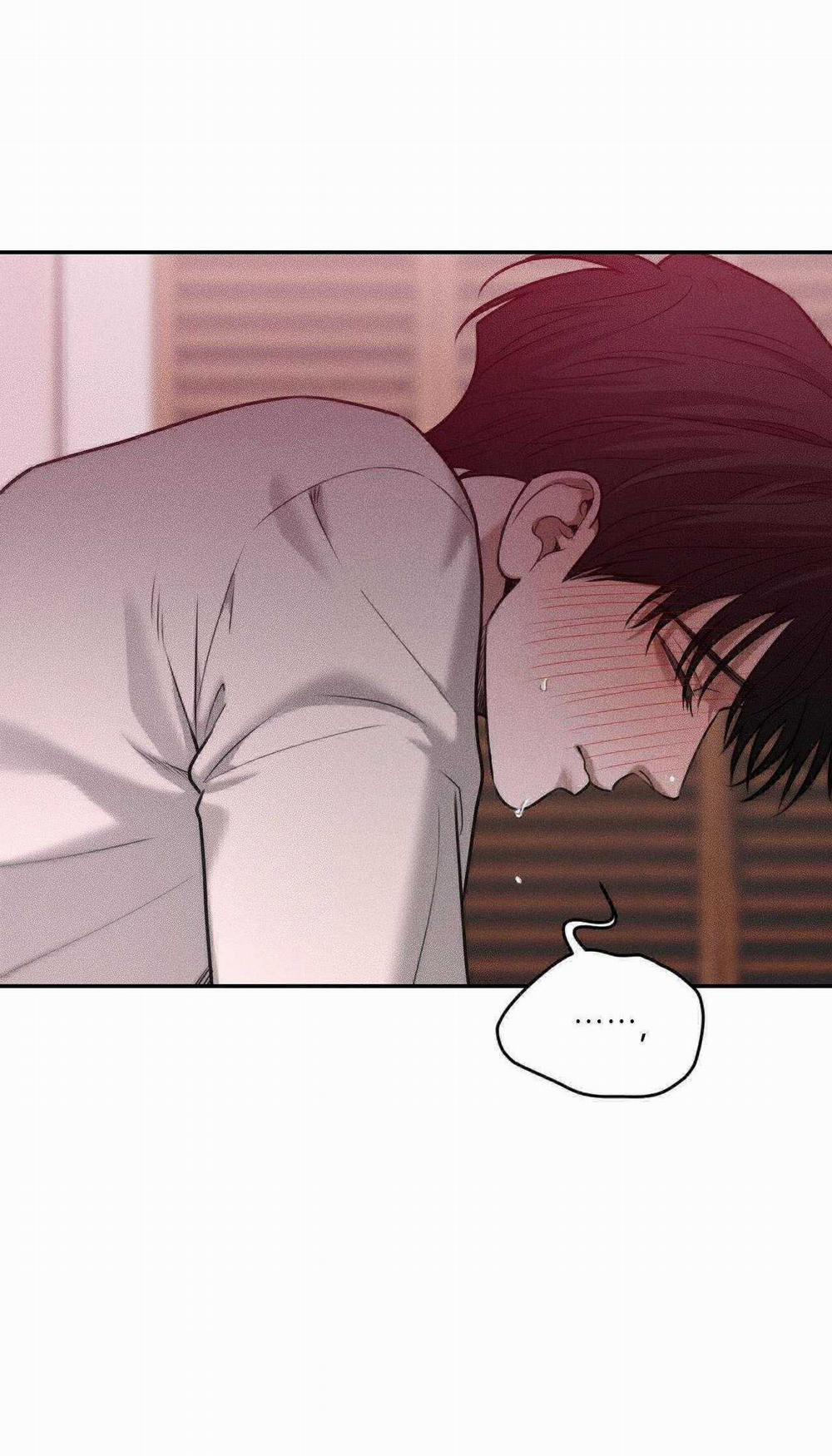 Gấu Teddy Thân Yêu 36 trang 1