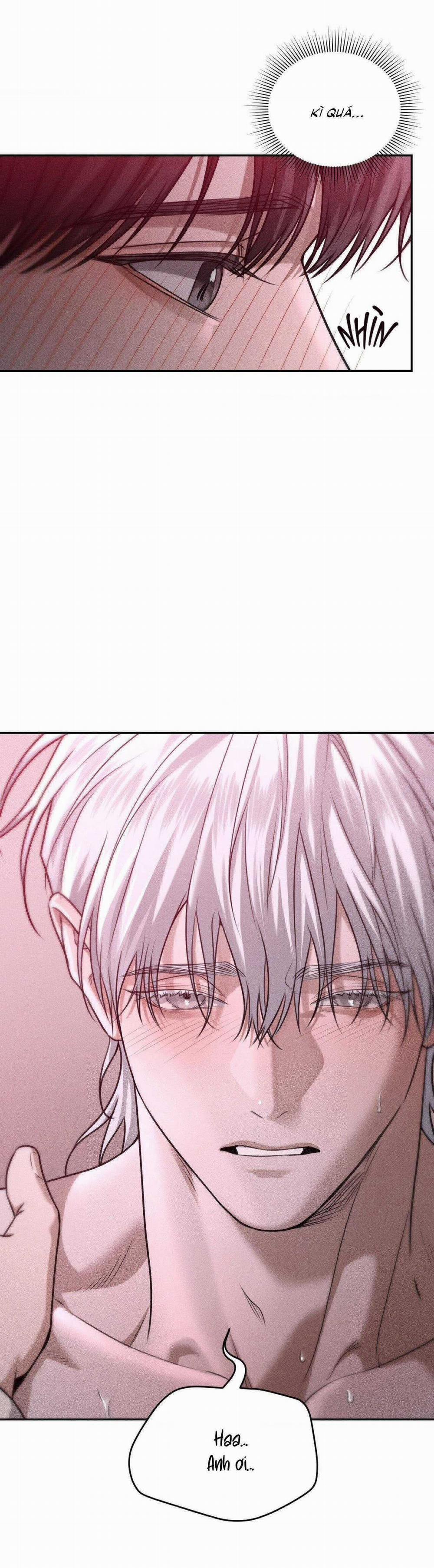 Gấu Teddy Thân Yêu 36 trang 10