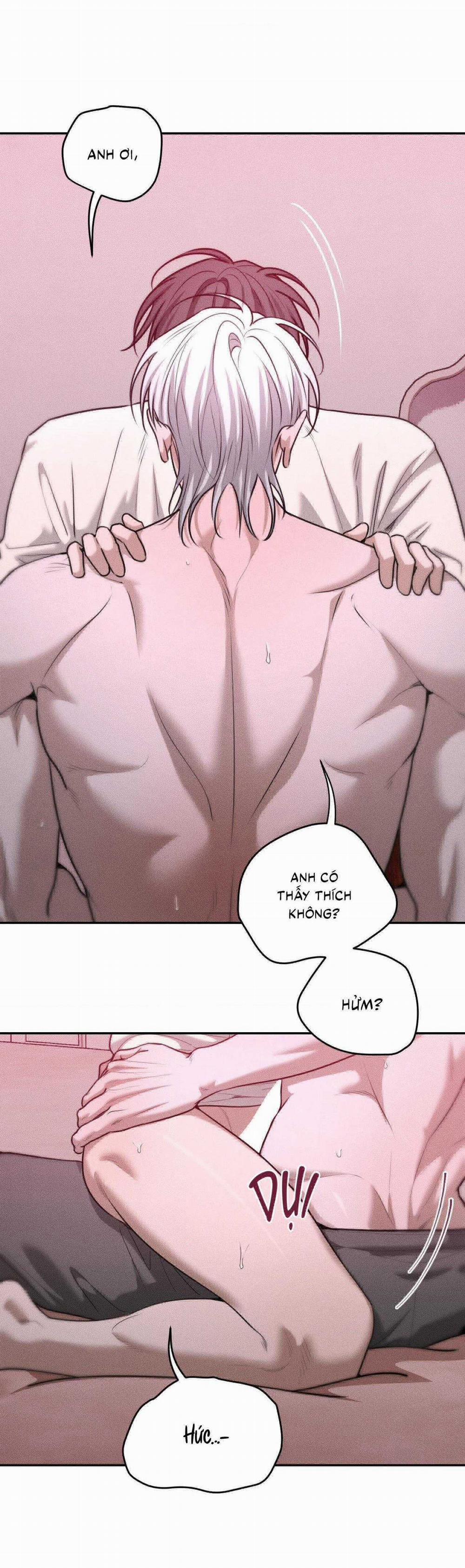 Gấu Teddy Thân Yêu 36 trang 21